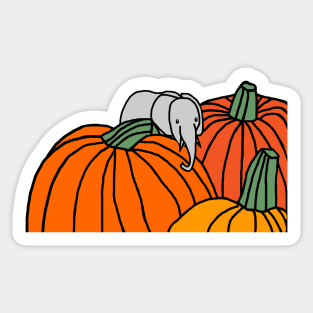 Funny Little Elephant and Halloween Pumpkins Sticker